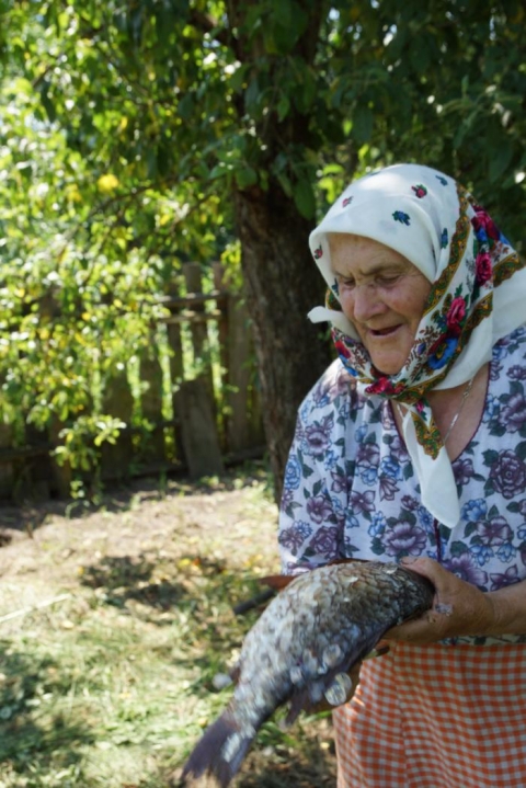 The silence of Chernobyl