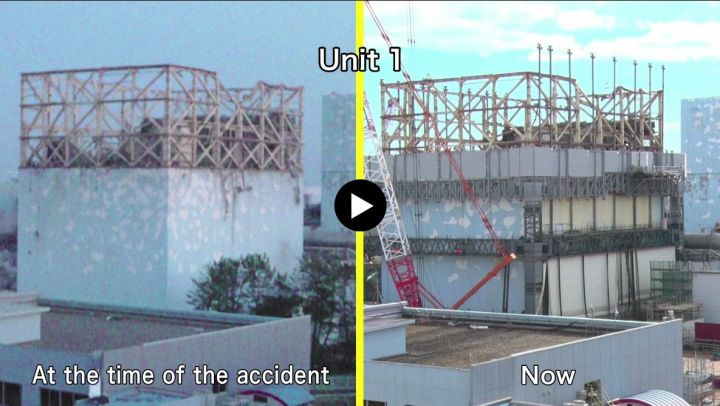 Fukushima: Die &ouml;kologischen und &ouml;konomischen Folgen wiegen schwer
